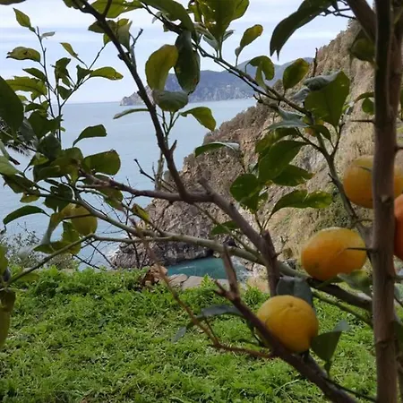 Apartment On The Way To The Marina Corniglia