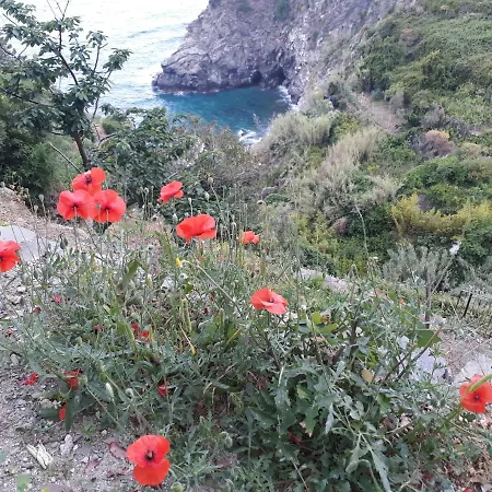 Apartment On The Way To The Marina Corniglia