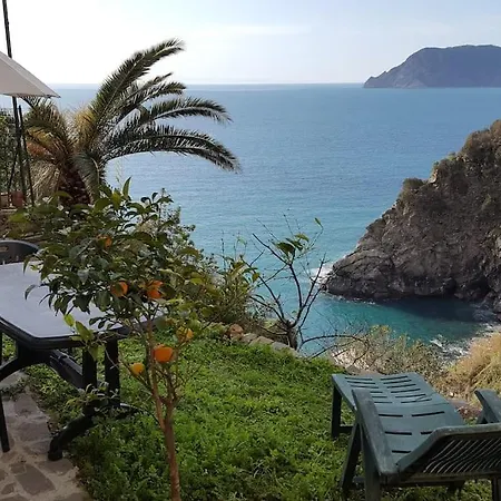 Daire On The Way To The Marina Corniglia